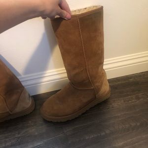 Barely worn tall chestnut uggs size 8